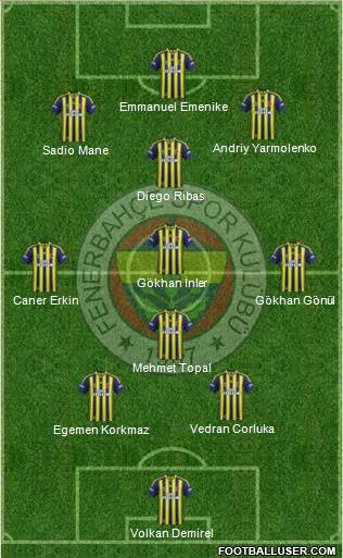 Fenerbahçe SK Formation 2014