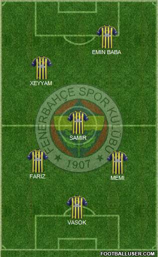 Fenerbahçe SK Formation 2014