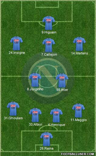 Napoli Formation 2014