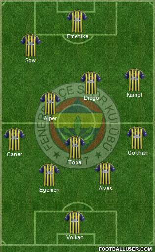 Fenerbahçe SK Formation 2014