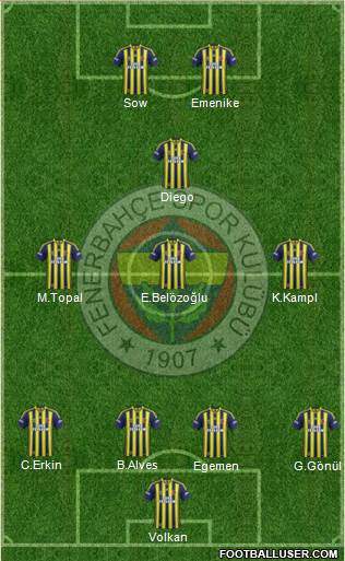 Fenerbahçe SK Formation 2014