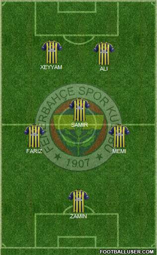 Fenerbahçe SK Formation 2014