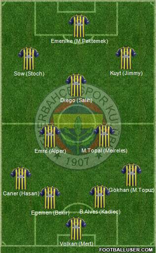 Fenerbahçe SK Formation 2014