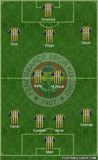 Fenerbahçe SK Formation 2014