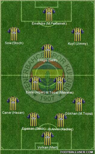Fenerbahçe SK Formation 2014