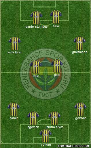Fenerbahçe SK Formation 2014