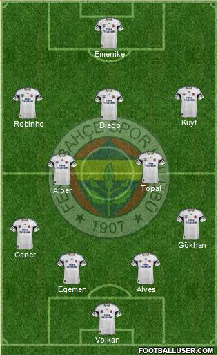 Fenerbahçe SK Formation 2014