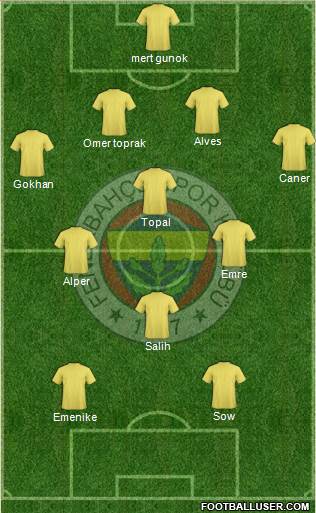 Fenerbahçe SK Formation 2014