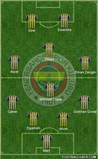 Fenerbahçe SK Formation 2014