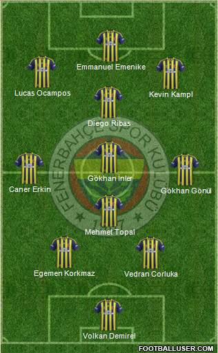 Fenerbahçe SK Formation 2014