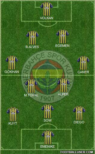 Fenerbahçe SK Formation 2014
