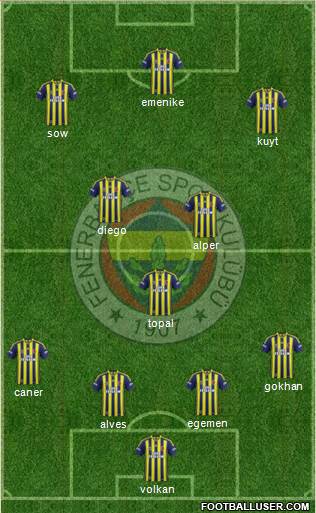 Fenerbahçe SK Formation 2014