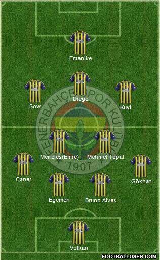Fenerbahçe SK Formation 2014