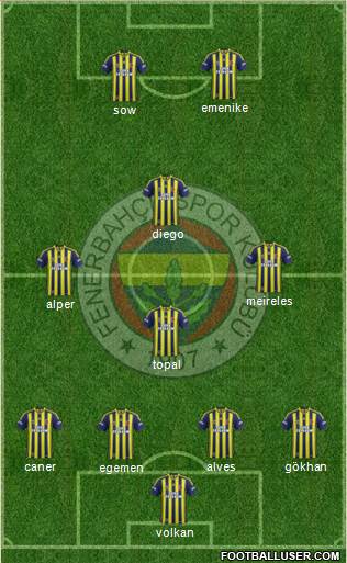 Fenerbahçe SK Formation 2014