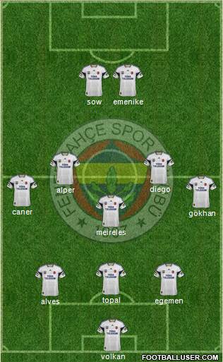 Fenerbahçe SK Formation 2014
