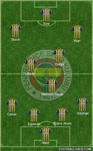 Fenerbahçe SK Formation 2014