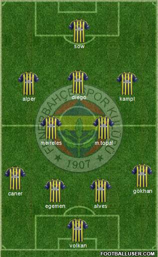 Fenerbahçe SK Formation 2014