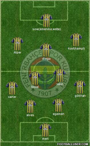 Fenerbahçe SK Formation 2014