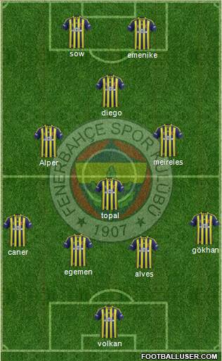 Fenerbahçe SK Formation 2014