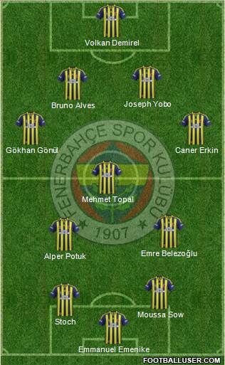 Fenerbahçe SK Formation 2014