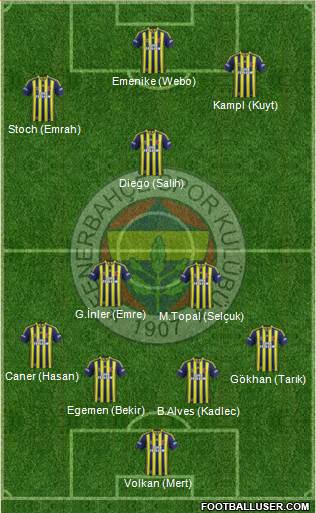 Fenerbahçe SK Formation 2014