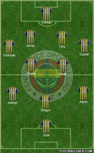 Fenerbahçe SK Formation 2014