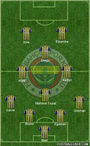 Fenerbahçe SK Formation 2014