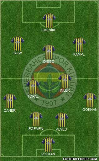 Fenerbahçe SK Formation 2014