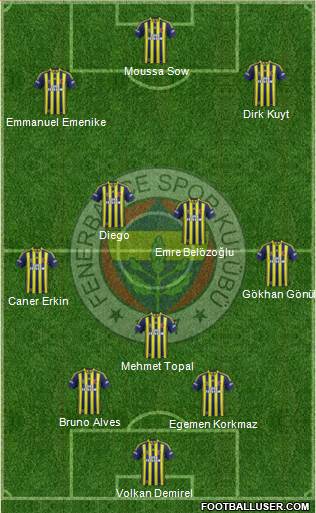 Fenerbahçe SK Formation 2014
