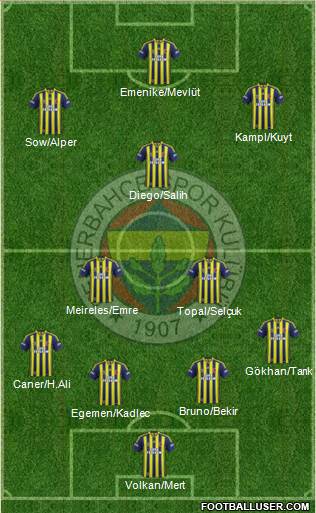 Fenerbahçe SK Formation 2014