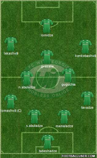 WIT-Georgia Tbilisi Formation 2014