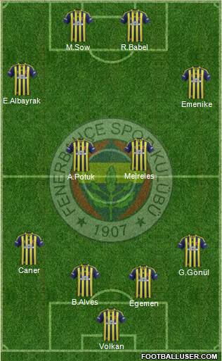 Fenerbahçe SK Formation 2014