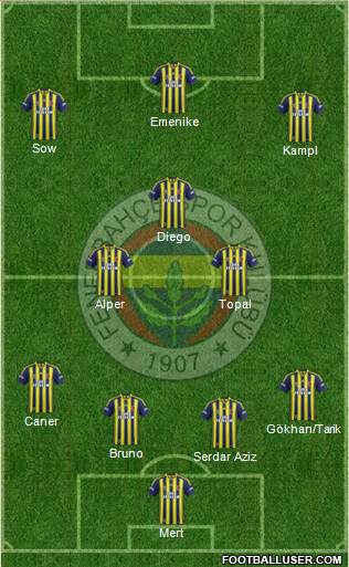 Fenerbahçe SK Formation 2014