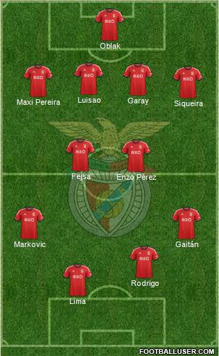 Sport Lisboa e Benfica - SAD Formation 2014