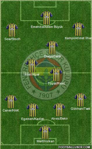 Fenerbahçe SK Formation 2014