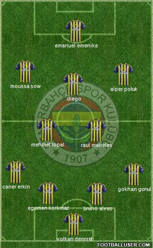 Fenerbahçe SK Formation 2014