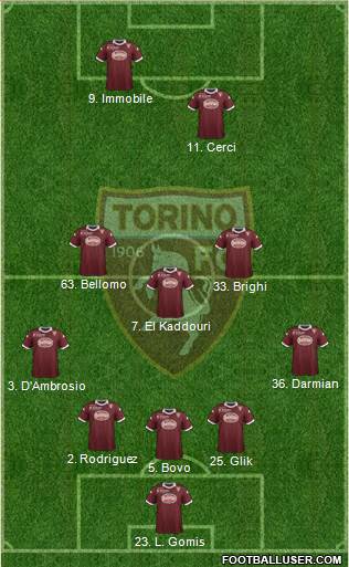 Torino Formation 2014