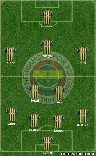 Fenerbahçe SK Formation 2014