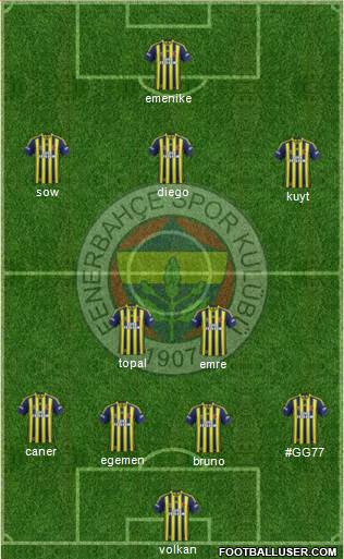 Fenerbahçe SK Formation 2014
