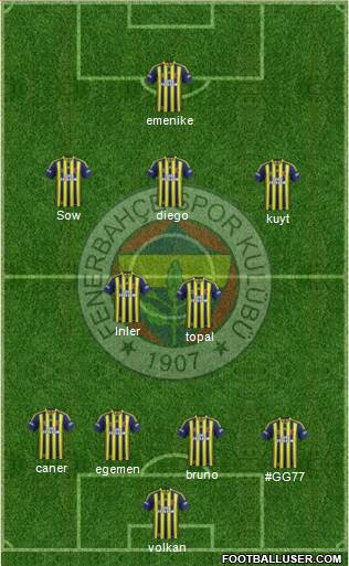 Fenerbahçe SK Formation 2014