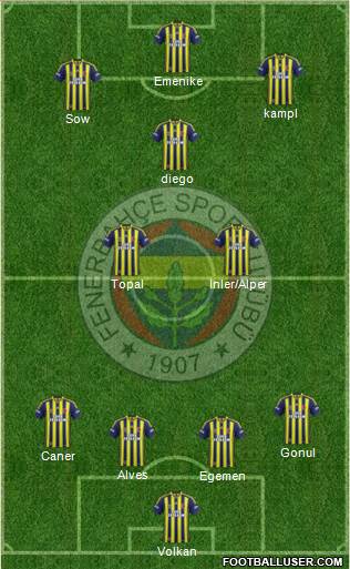 Fenerbahçe SK Formation 2014