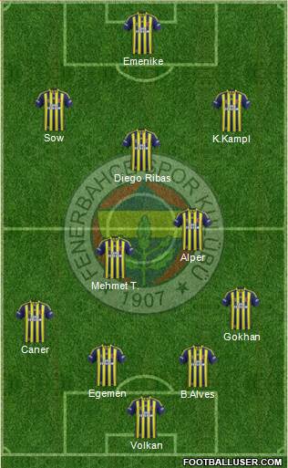 Fenerbahçe SK Formation 2014