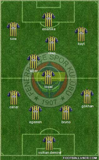 Fenerbahçe SK Formation 2014