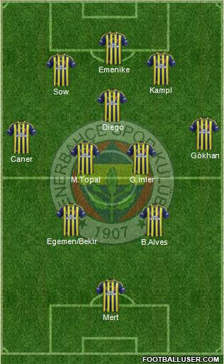 Fenerbahçe SK Formation 2014