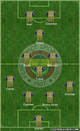 Fenerbahçe SK Formation 2014