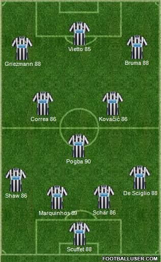 Newcastle United Formation 2014