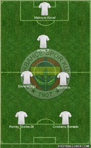 Fenerbahçe SK Formation 2014