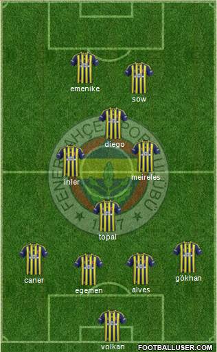 Fenerbahçe SK Formation 2014