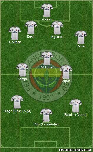 Fenerbahçe SK Formation 2014