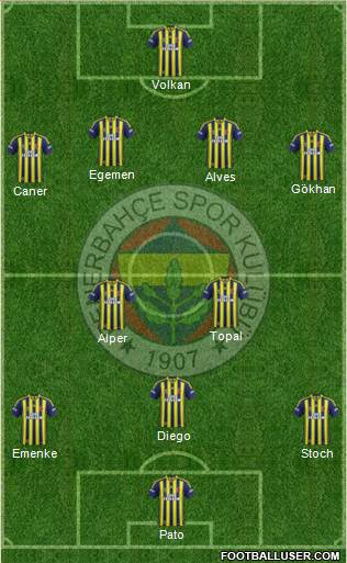 Fenerbahçe SK Formation 2014